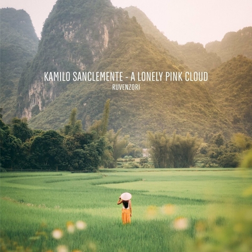 Kamilo Sanclemente - A Lonely Pink Cloud [RVNZ15]